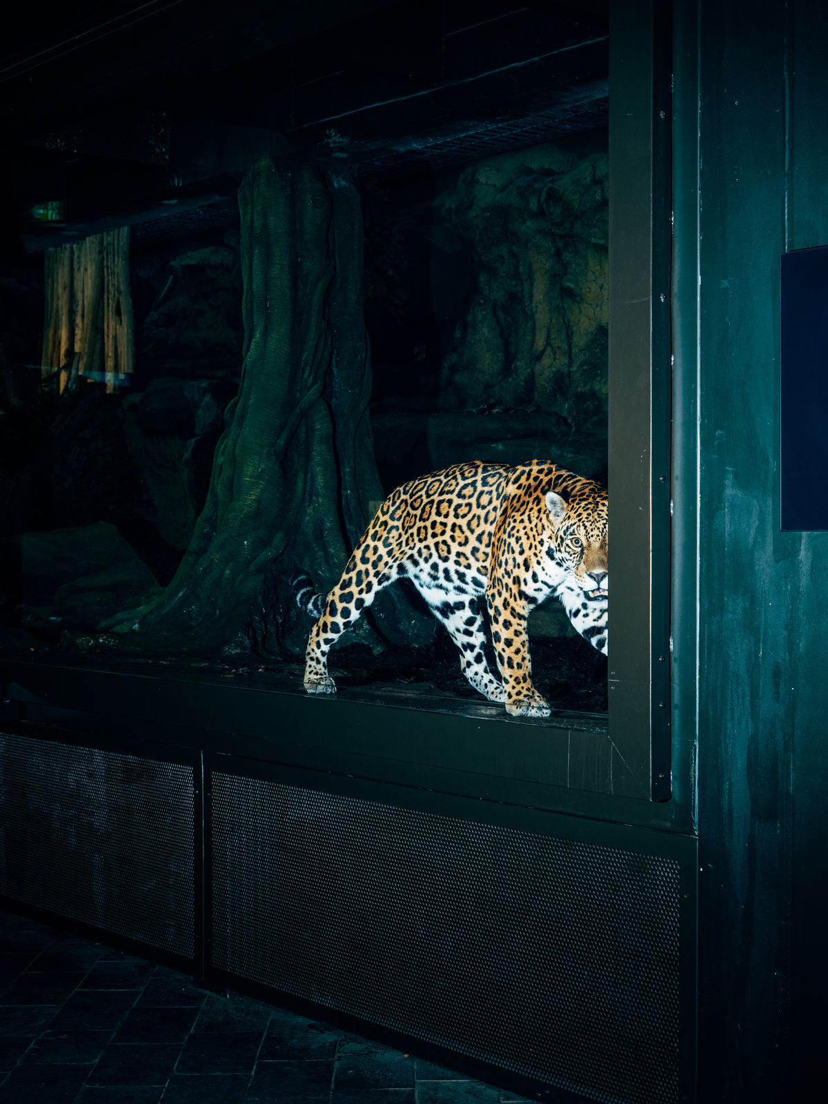 Nikita Teryoshin, Life Sentence 11, 2023