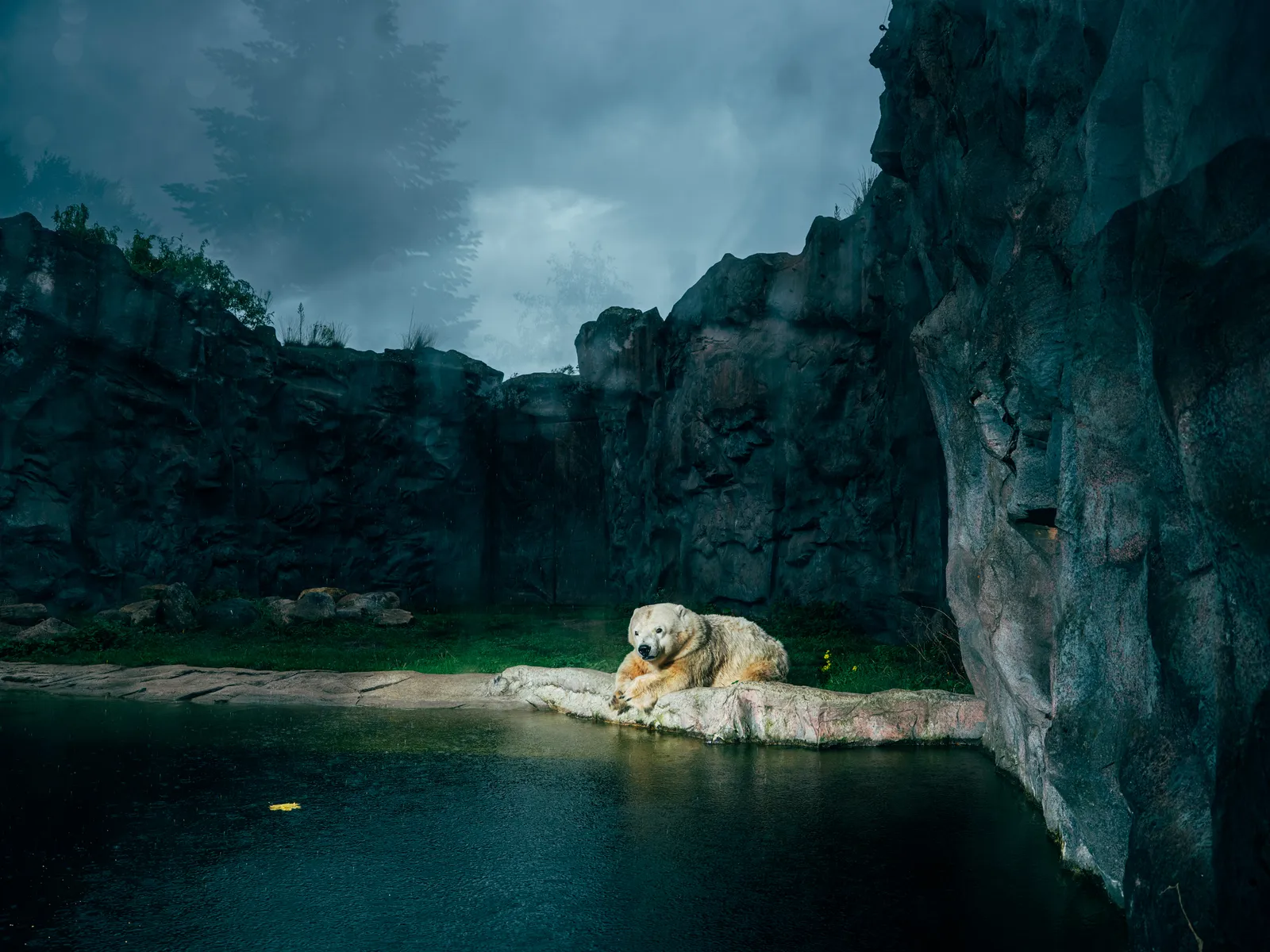 Nikita Teryoshin, Life Sentence 03, 2023