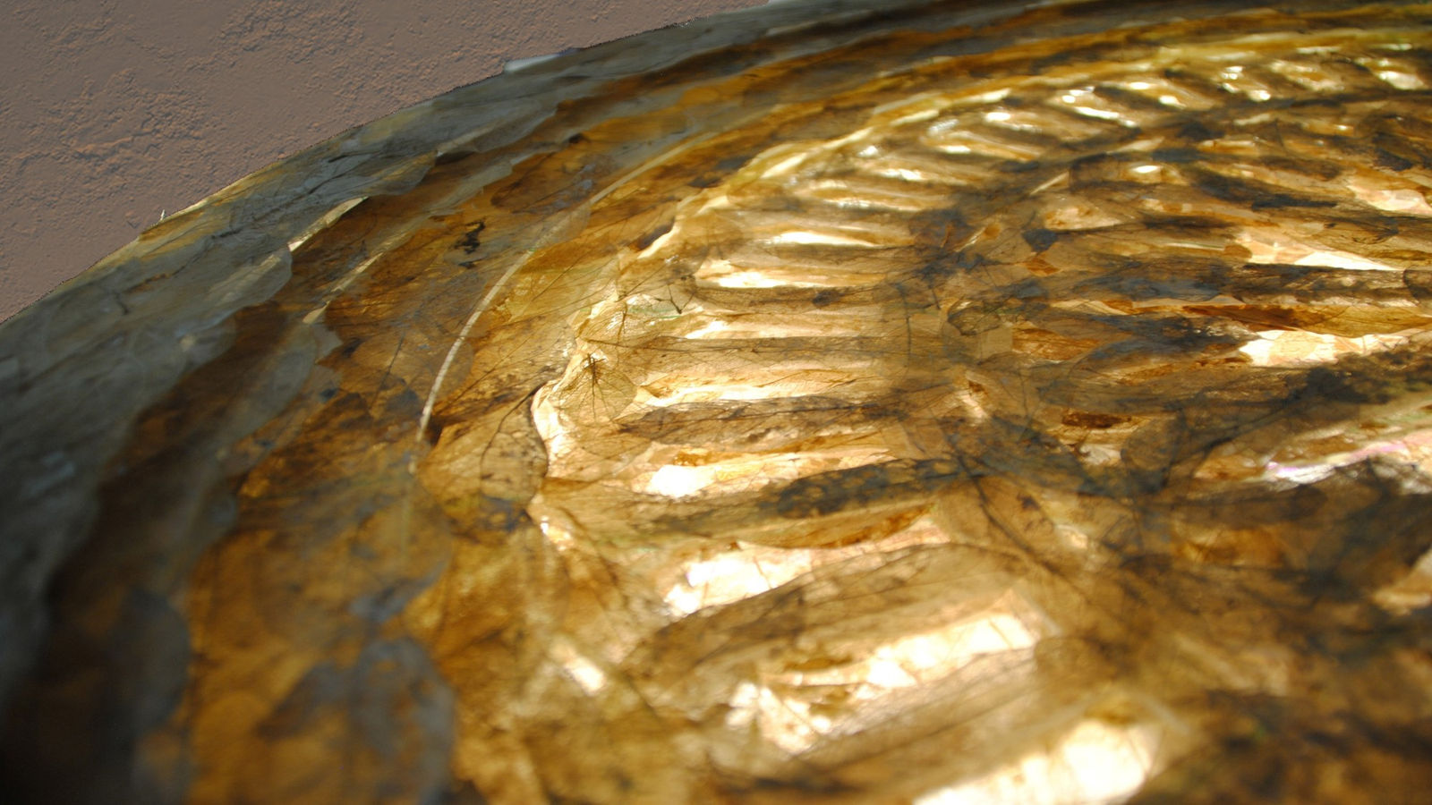 Rosa Cabrera, Axis Mundi, 2020