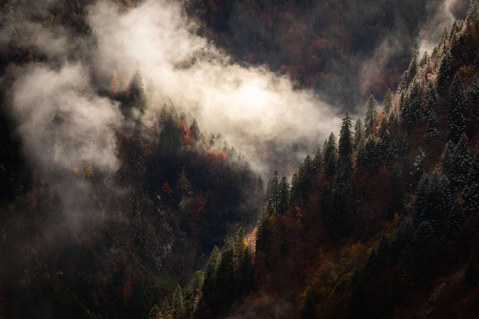 Alexandre Deschaumes, Voyage au Cœur du Silence. Vallon de la Diosaz, France