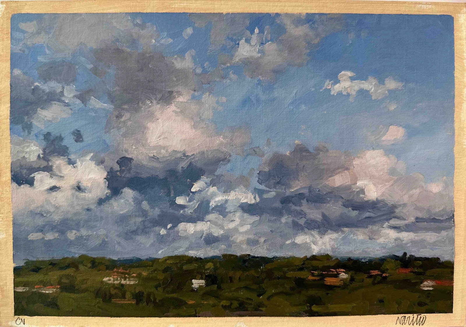 Carlos Nariño, Esquisse 8, 2024