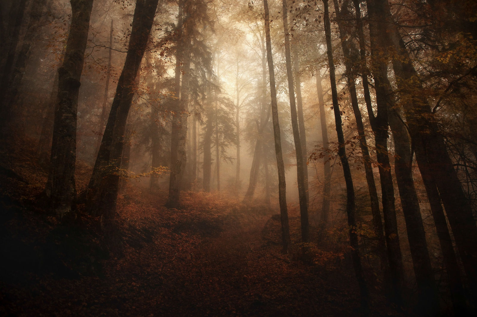 Alexandre Deschaumes, Les charmes de l'indicible. Haute Savoie, France