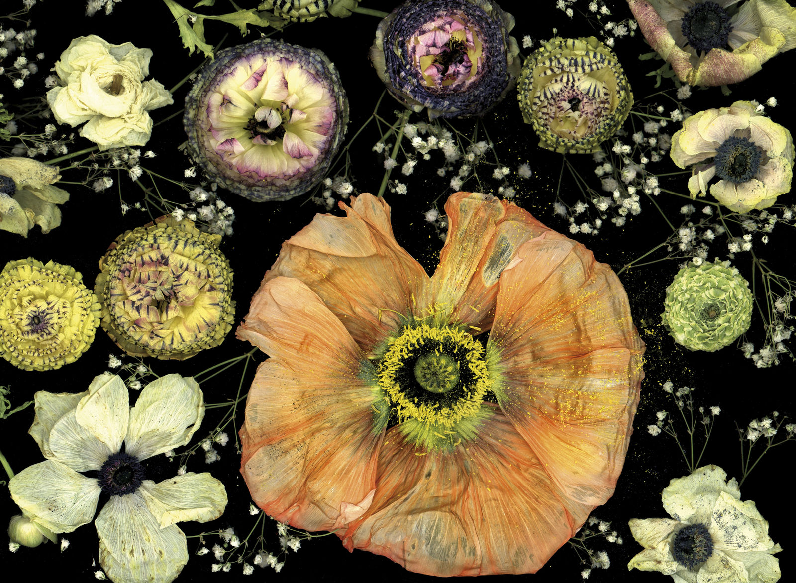 Katharina Von Flotow, Seen from space