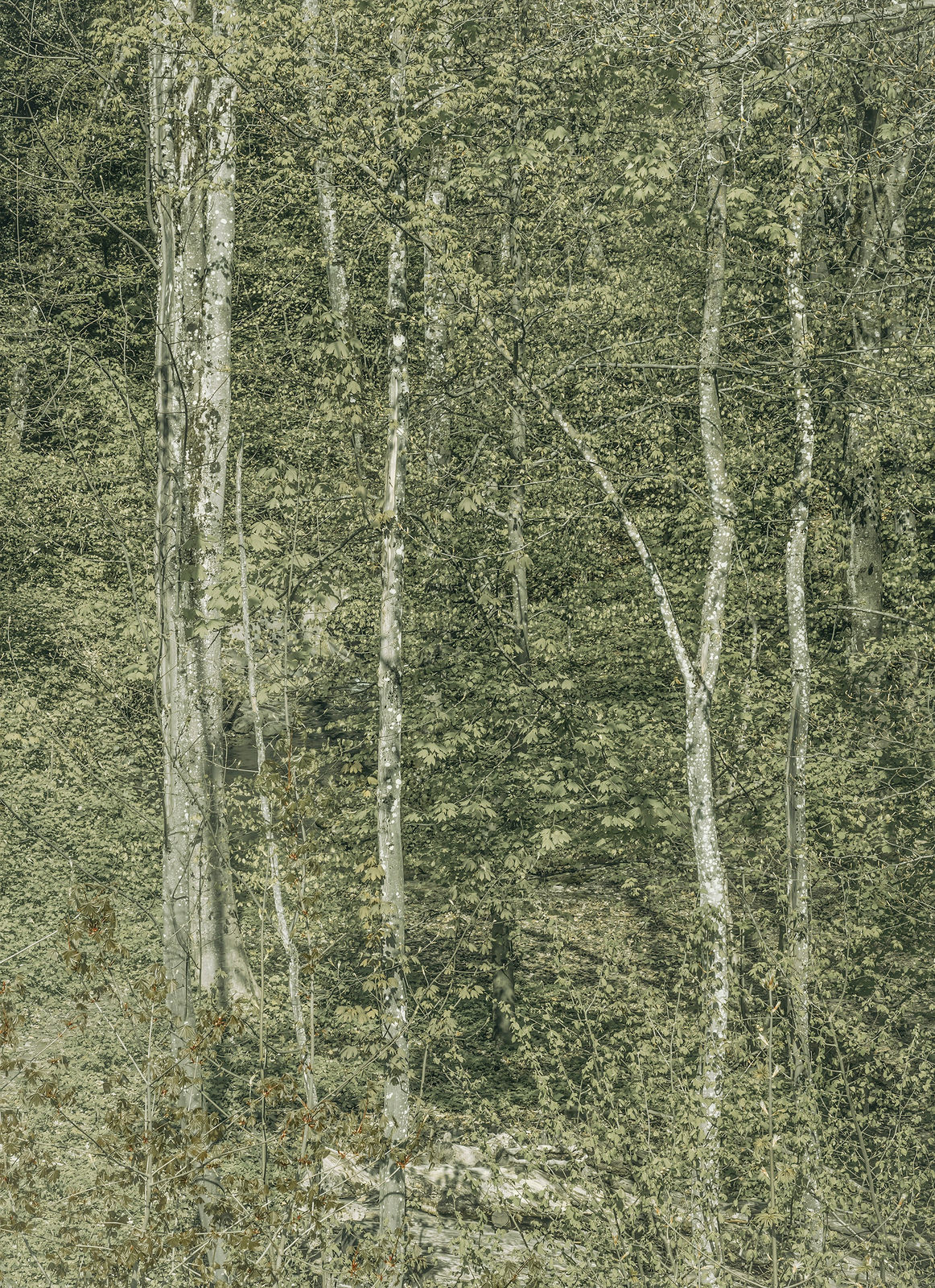 Olivier Christinat, 1. Sans titre de la série « Comme un paysage qui ’s’invente » , 2024