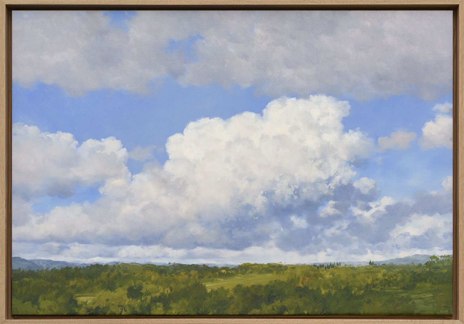 Carlos Nariño, Ciel 18, 2024