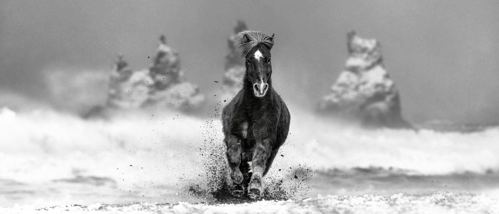 David Yarrow, My Perfect Storm (B&W)