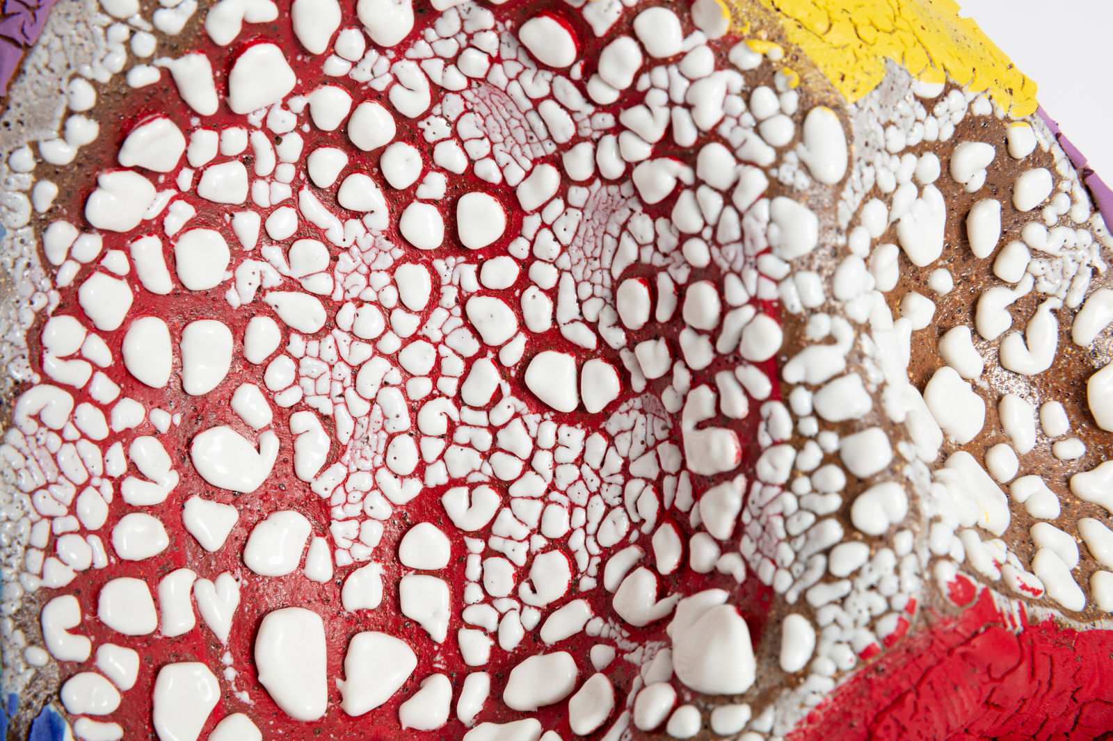 Amelia Lynch, Gymea Lily, 2022