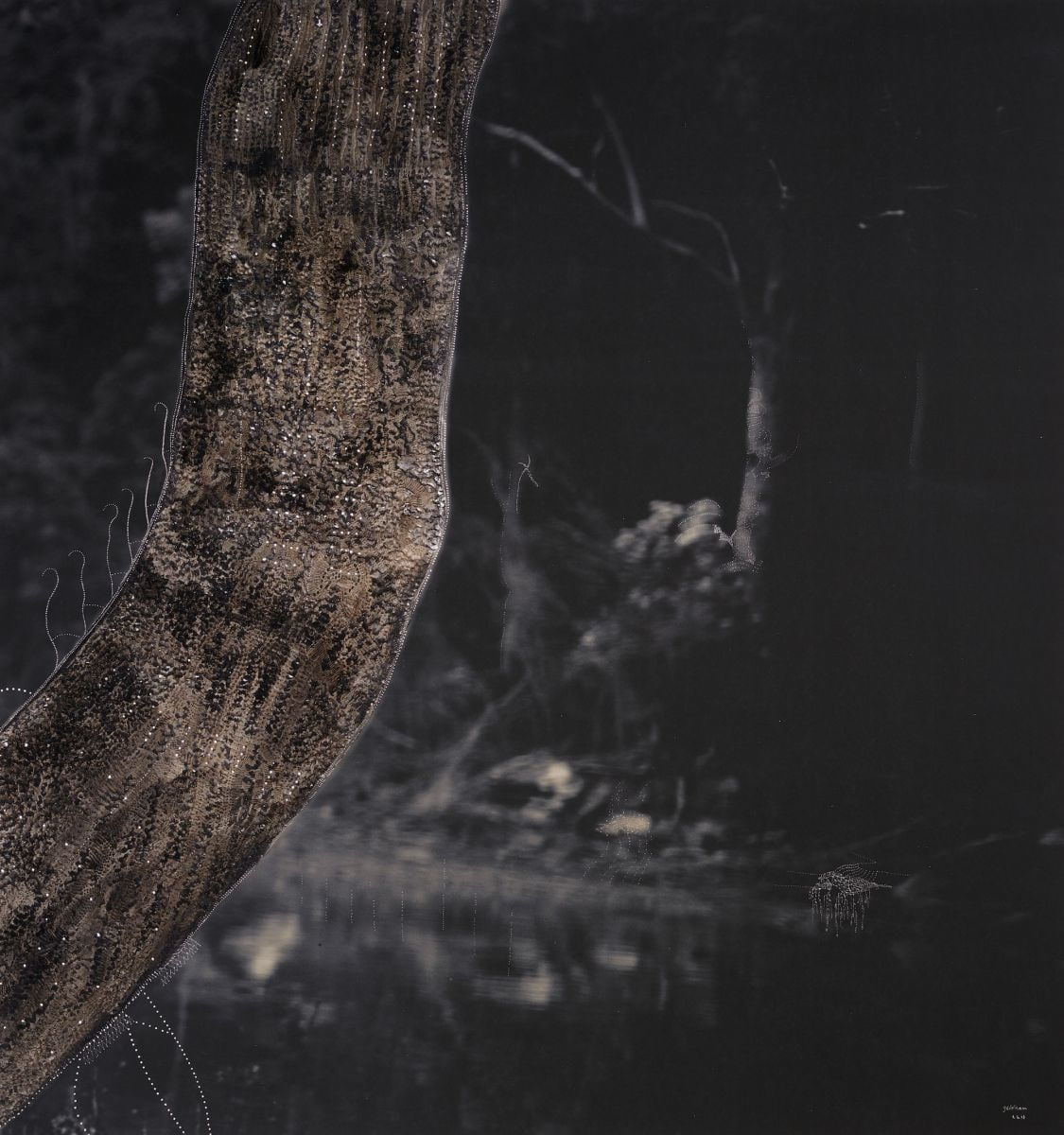 Joshua Yeldham, Midnight Mangrove Wood – Morning Bay (Ed. of 1), 2017