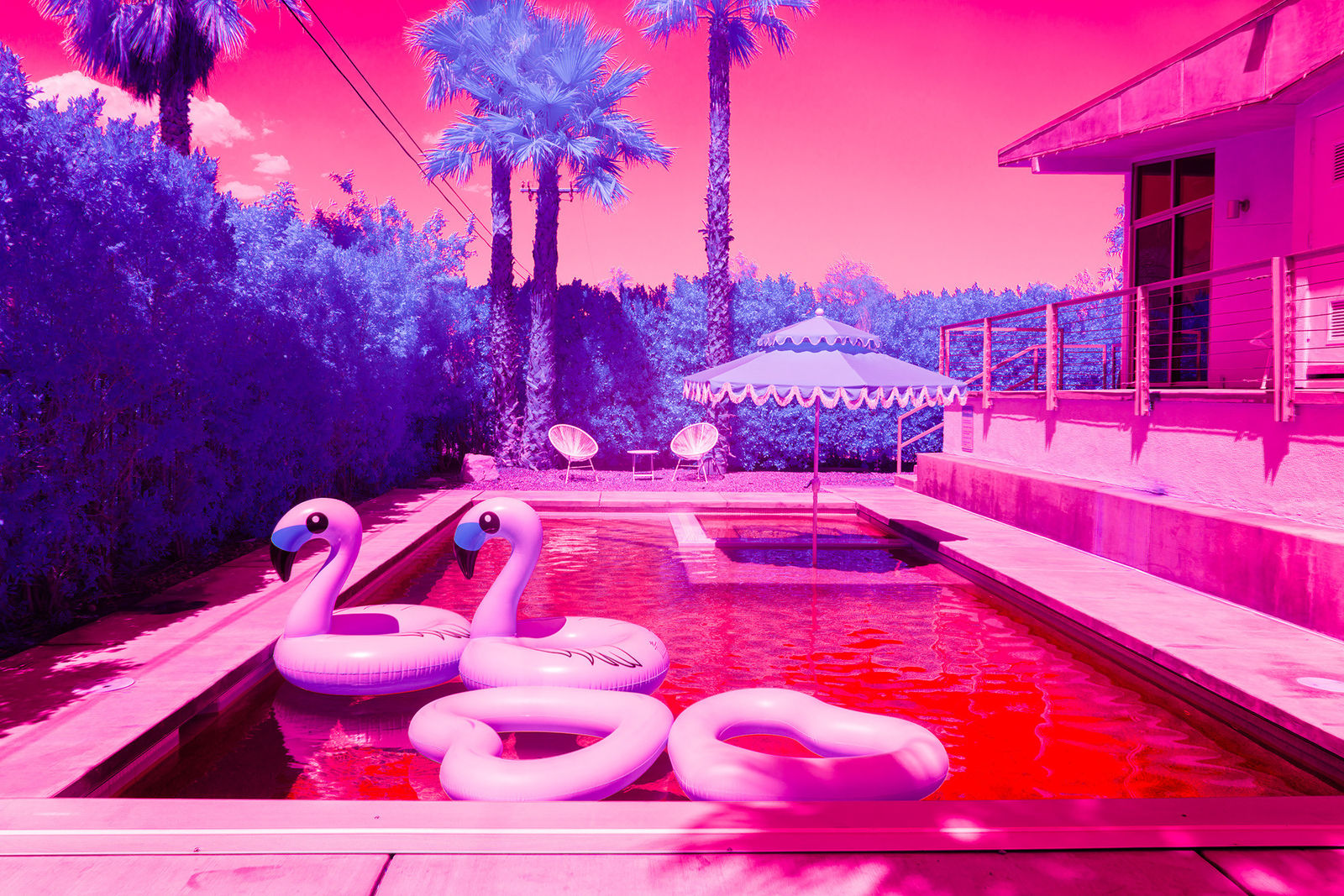 Kate Ballis, Palm Baum, 2018