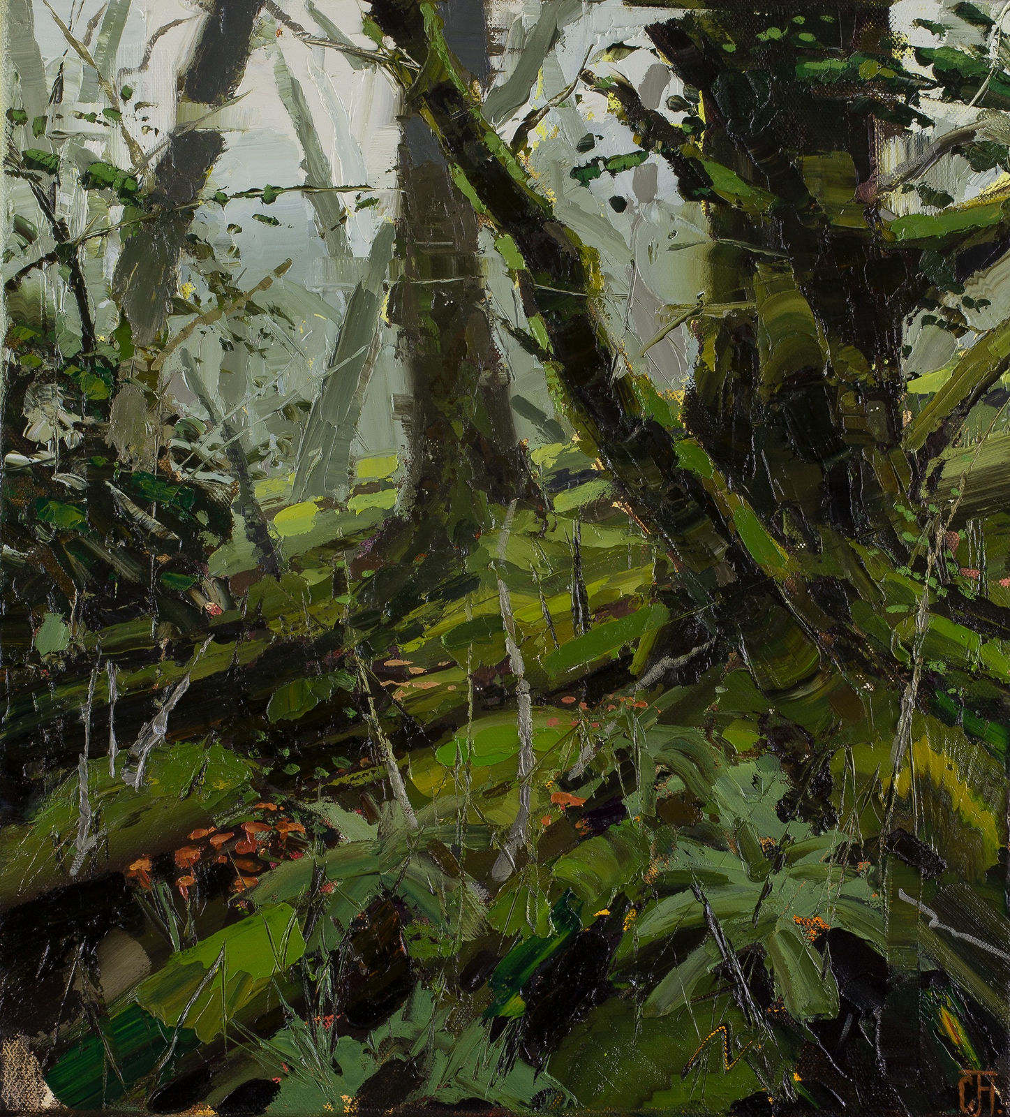 Clifford How, Temperate Path – Myrtle Forest, 2022