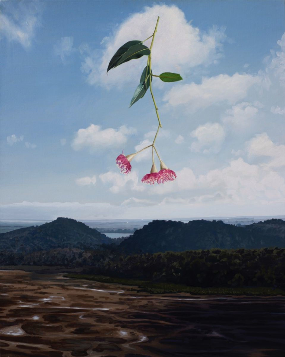 Hobie Porter, Drought in the Anthropocene (Corymbia Ficifolia), 2016