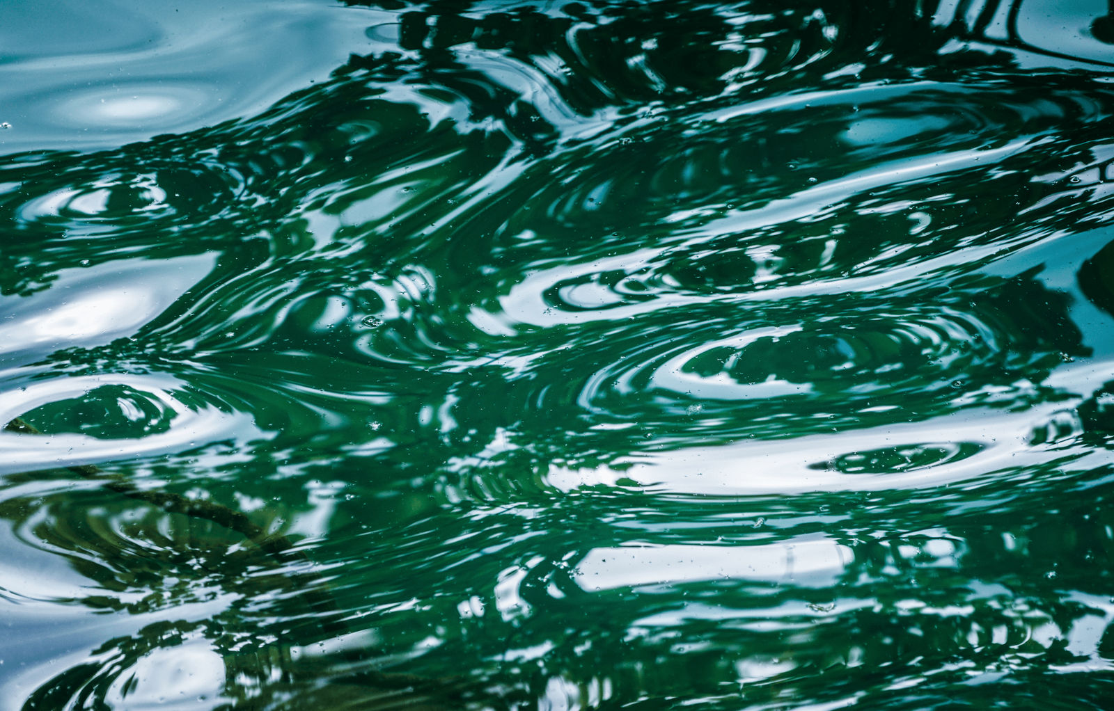 Malik Morris, Untitled, 2009