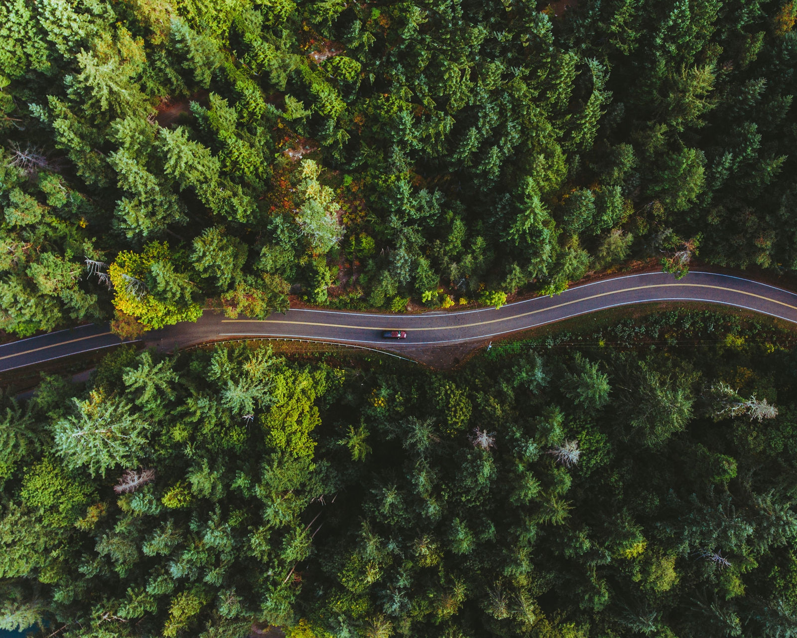 Jeremy Beck, Untitled, 2018