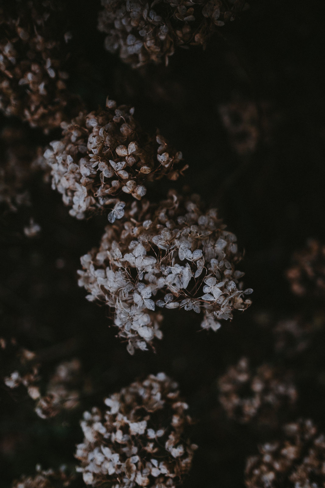 Katrina Forrest, Untitled, 2013