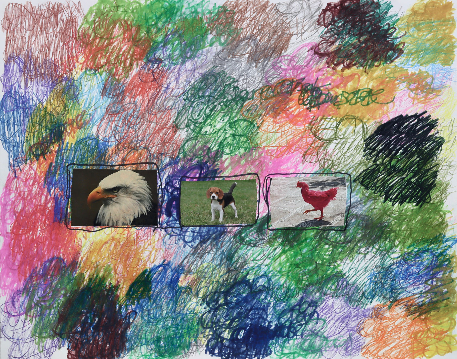 Lawrence M., The Beagle, 2022