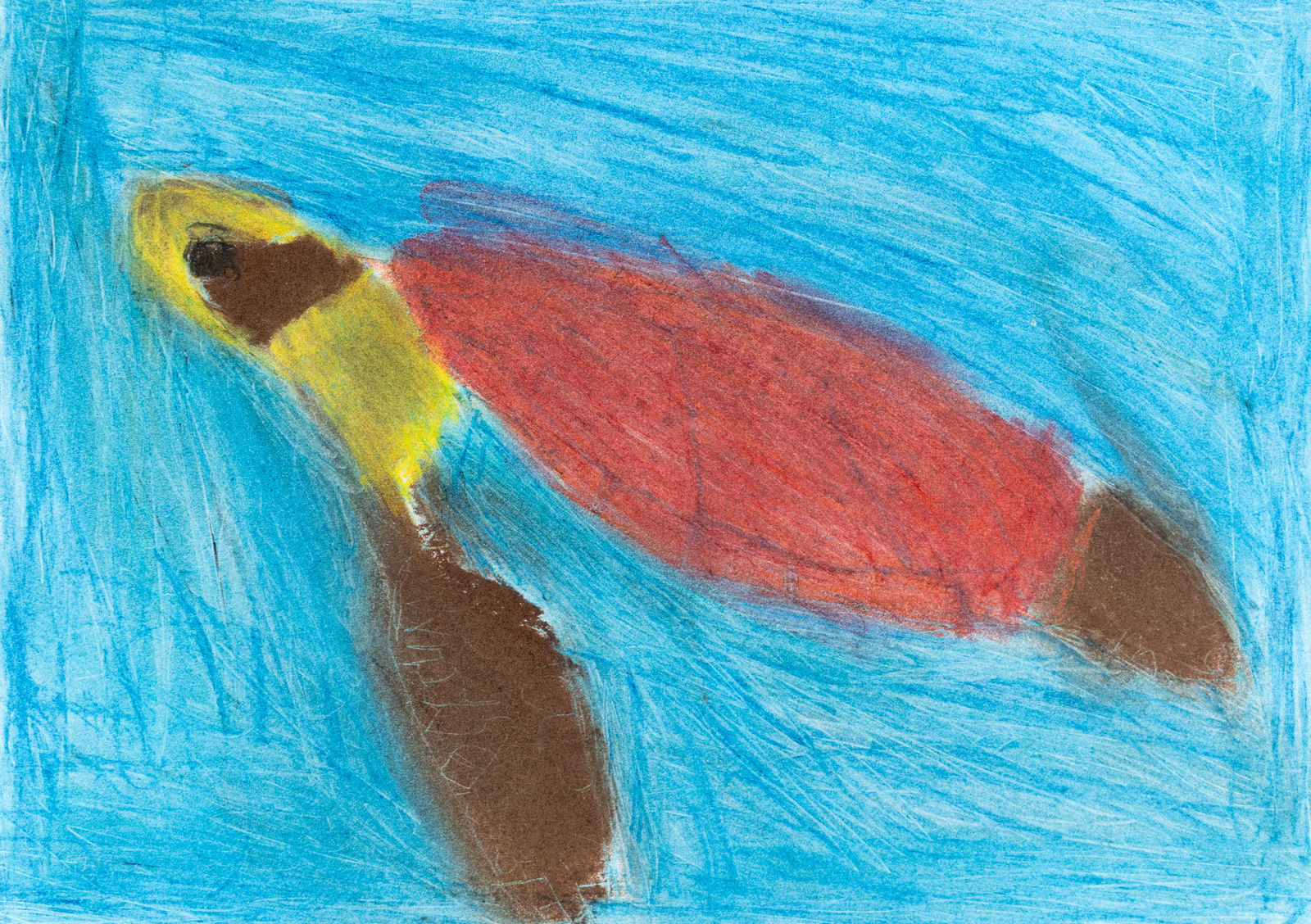 Renata Berdes, Turtle, 2017