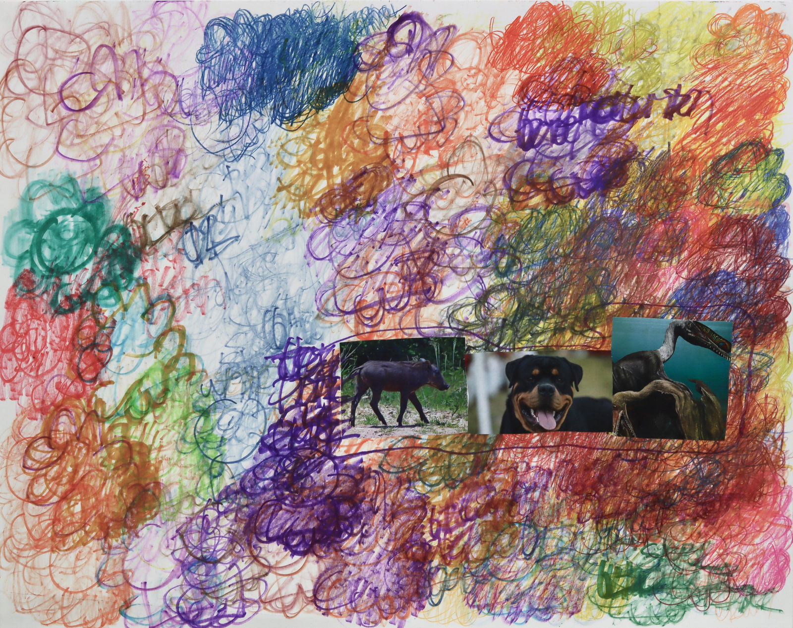 Lawrence M., Baby Purple Warthog, 2022