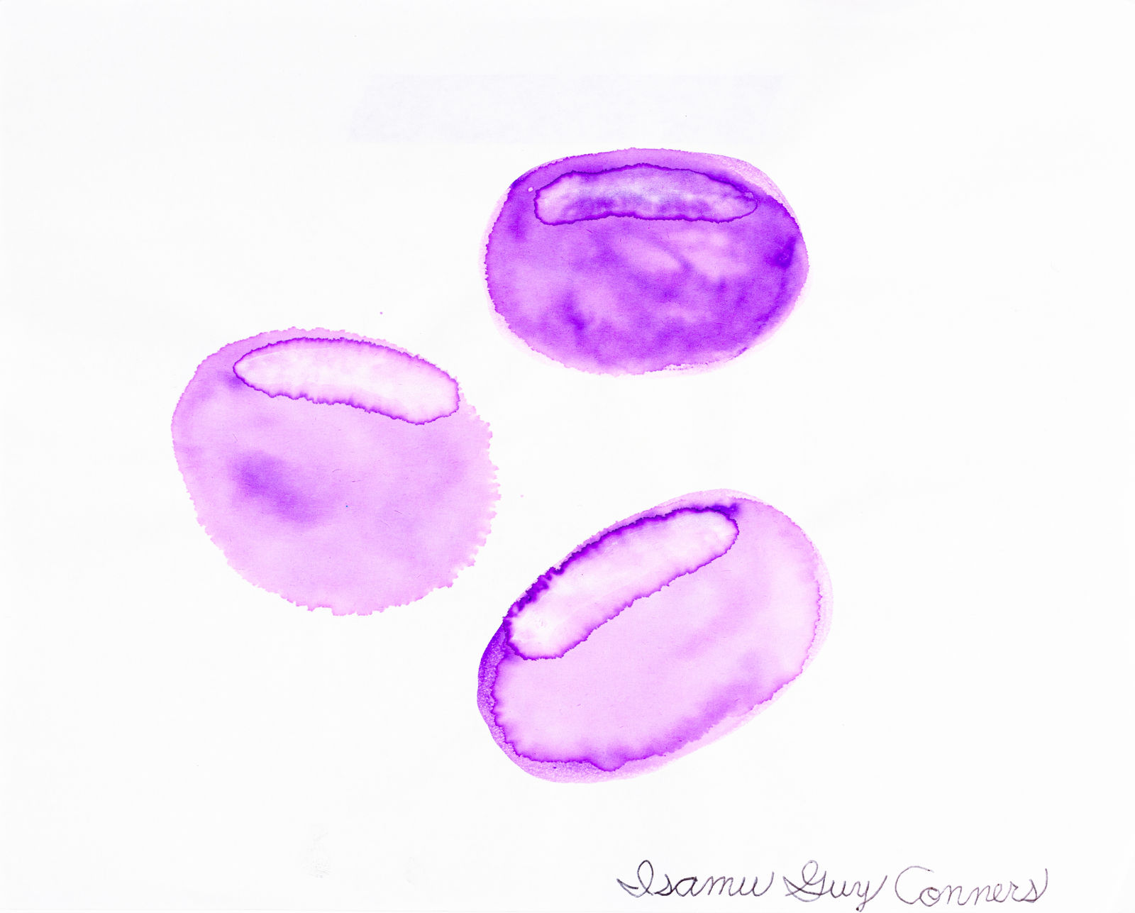 Isamu Guy Conners, Purple Jelly Bean, 2020