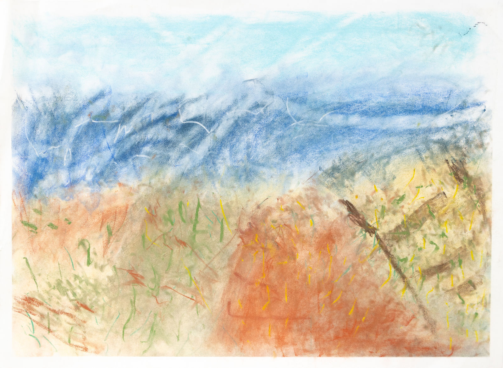 Chris Viau, A Native Beach, 2022