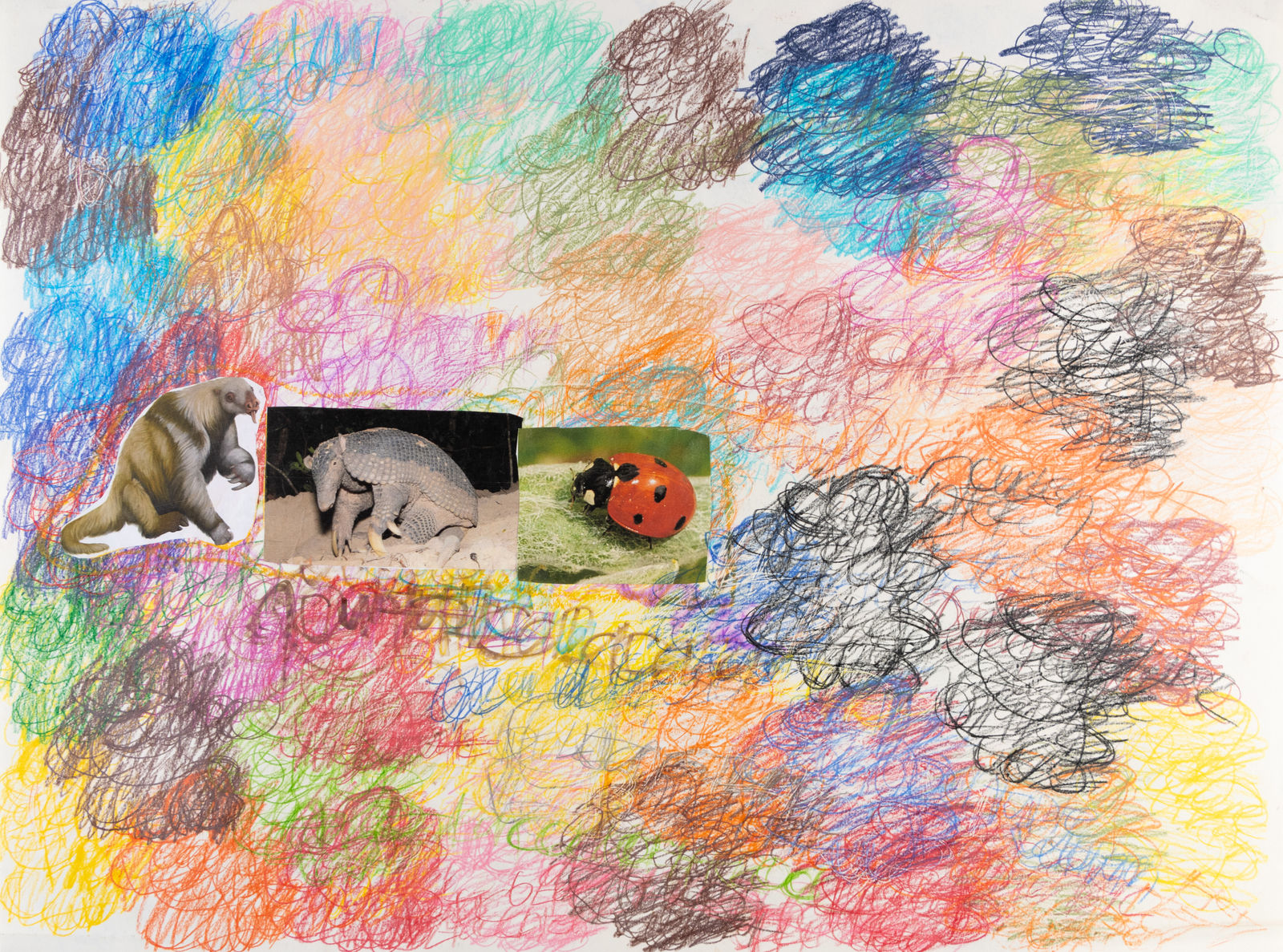 Lawrence M., Giant Sloth, 2022