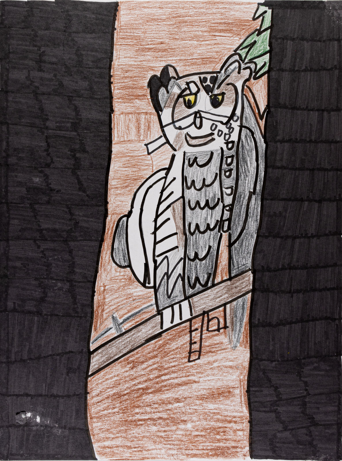 Maria Vanik, Horned Owls and Eagle Owls Birds , n.d.