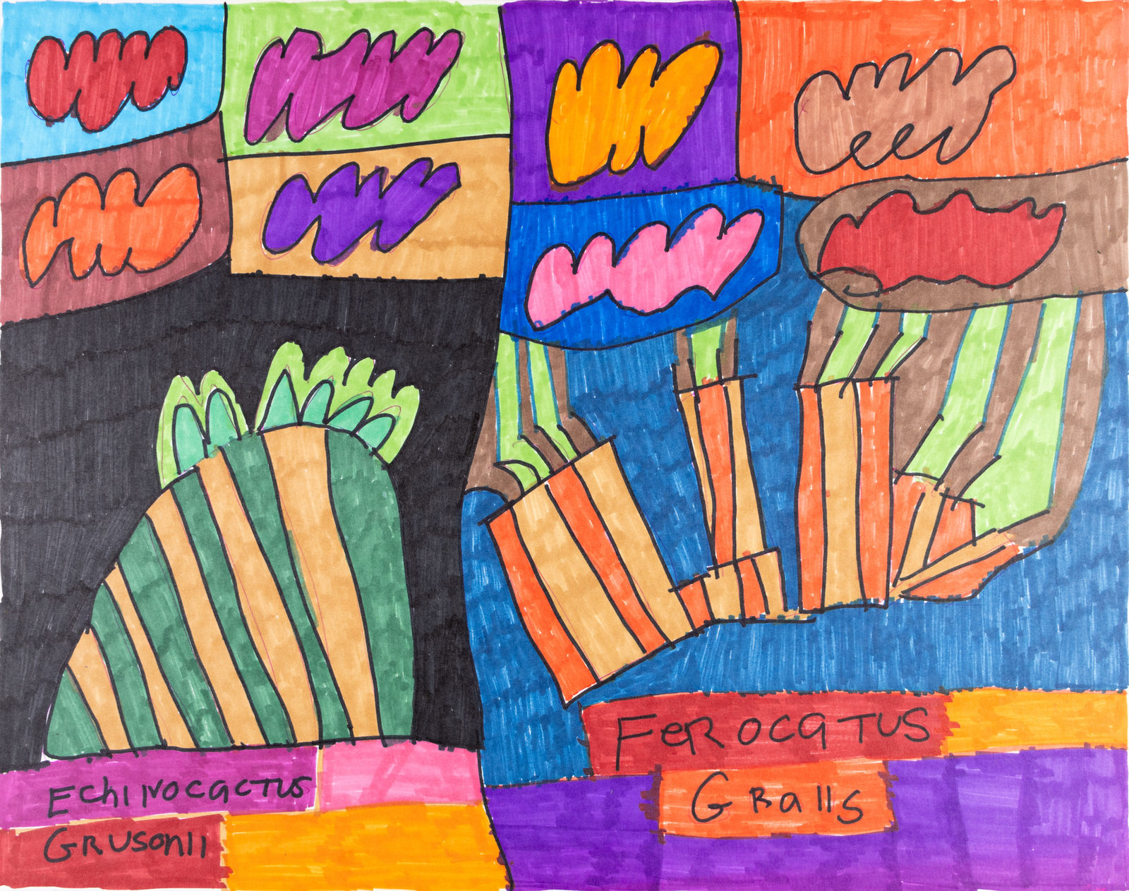 Maria Vanik, Frocactus echinocactus gracilis, 2021