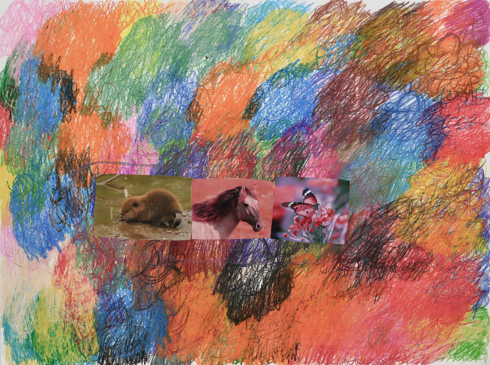 Lawrence M., Pink Butterfly, 2022