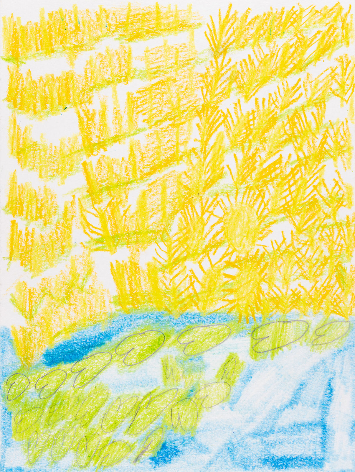 Kelly Stone, Untitled (Pond and Golden Field), n.d.