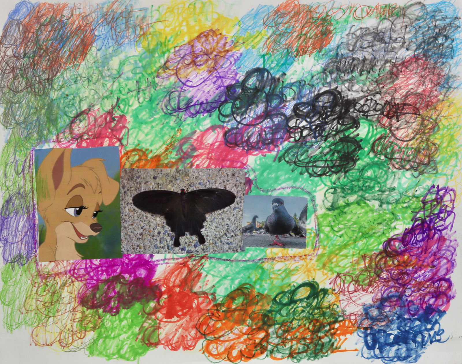 Lawrence M., Baby Pigeon , 2022