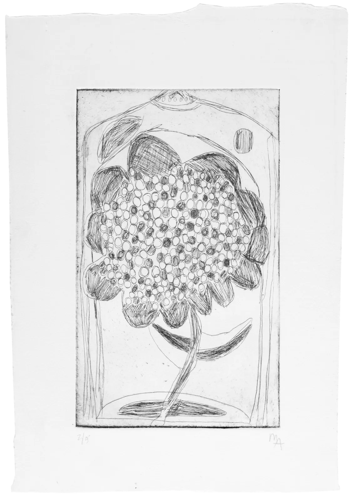 Marcelo Añón, Untitled (Flower), n.d.