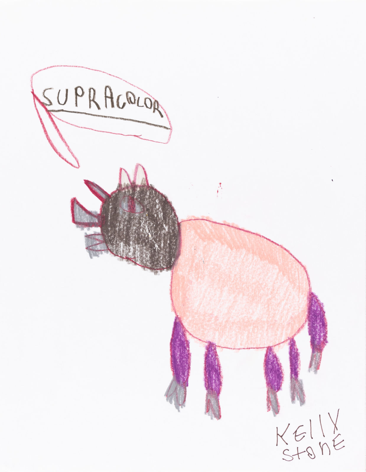 Kelly Stone, Untitled (Supracolor Pig), n.d.