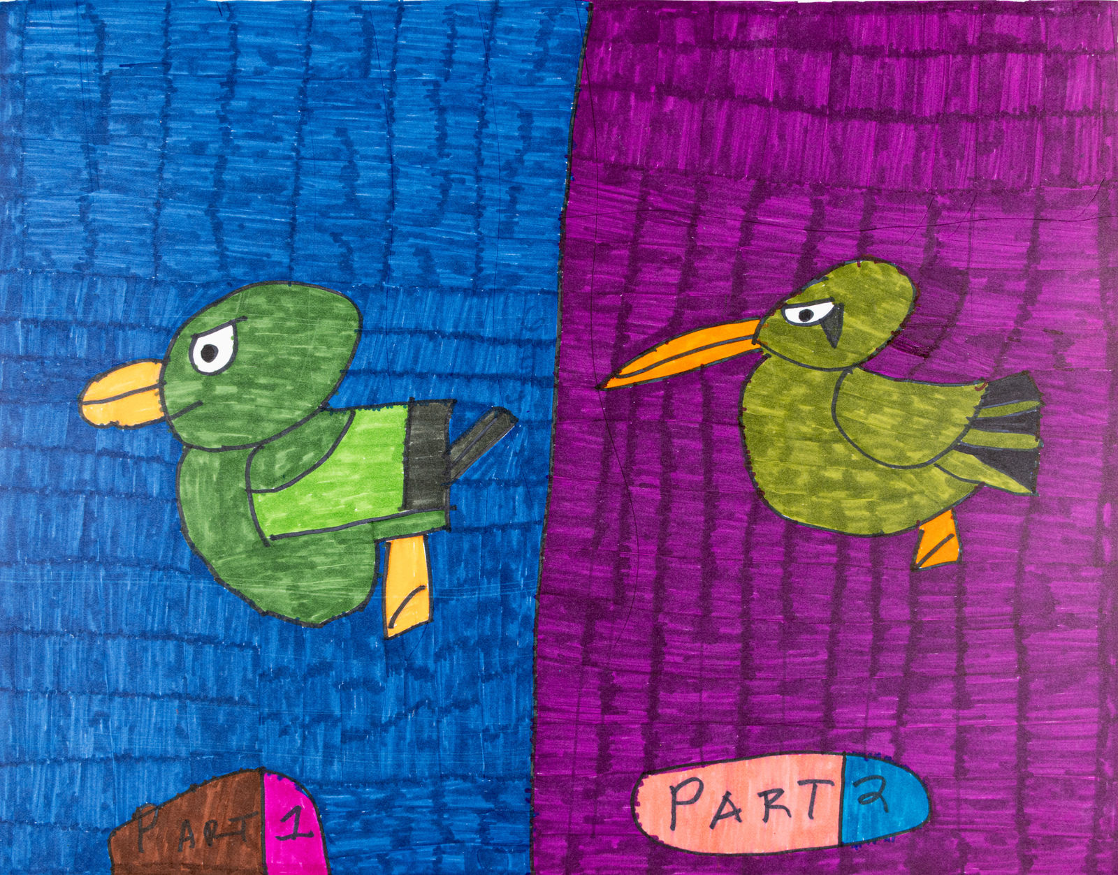 Maria Vanik, Birds, Color, Rainbow, 2024