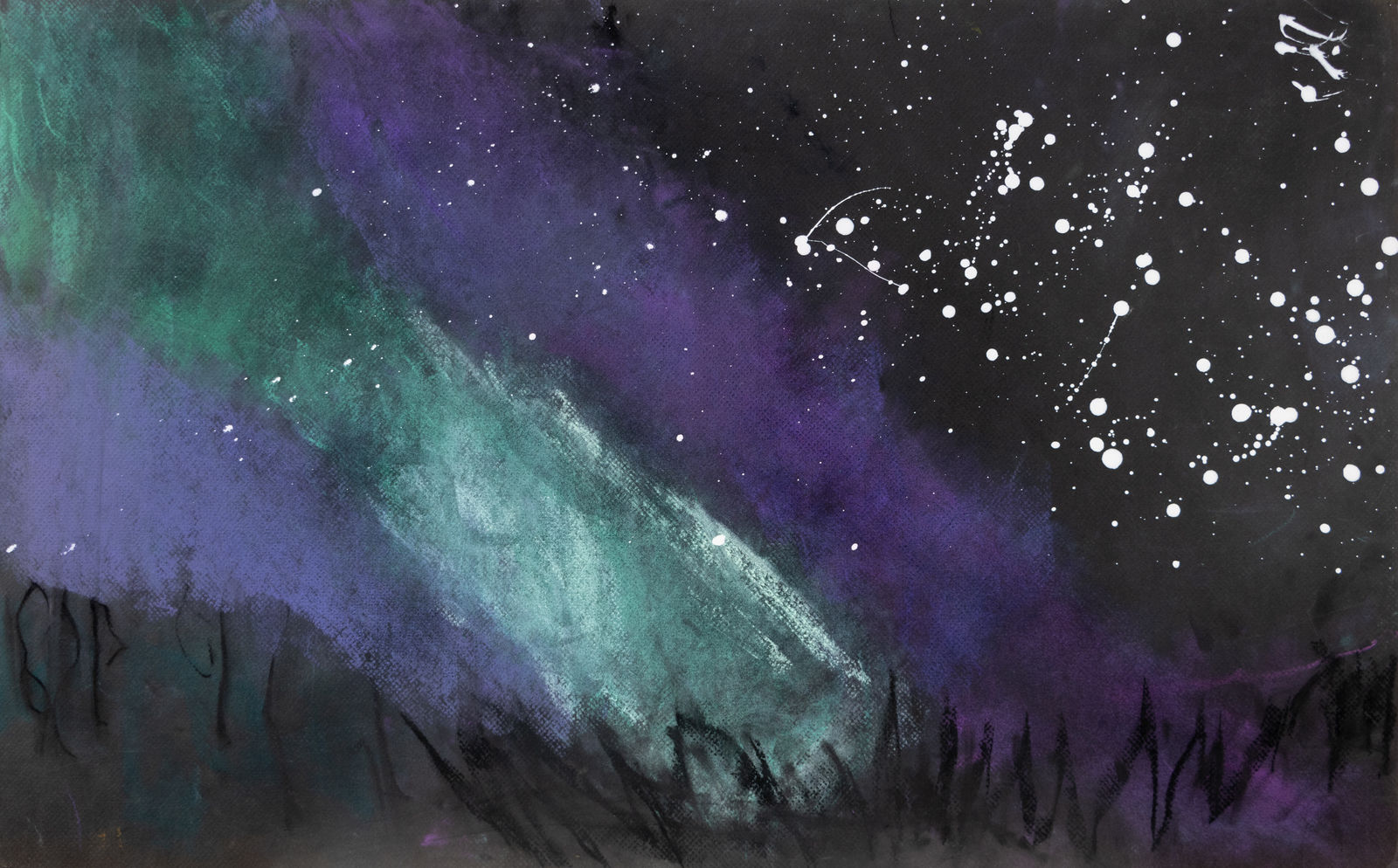 Chris Viau, Northern Lights in the Forest , 2020