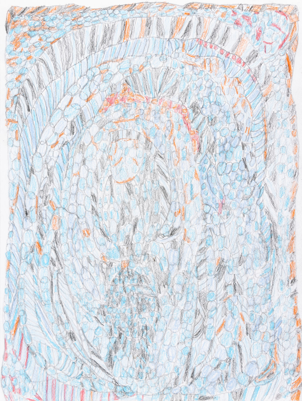 Lucy Walsh, Coke, 2025