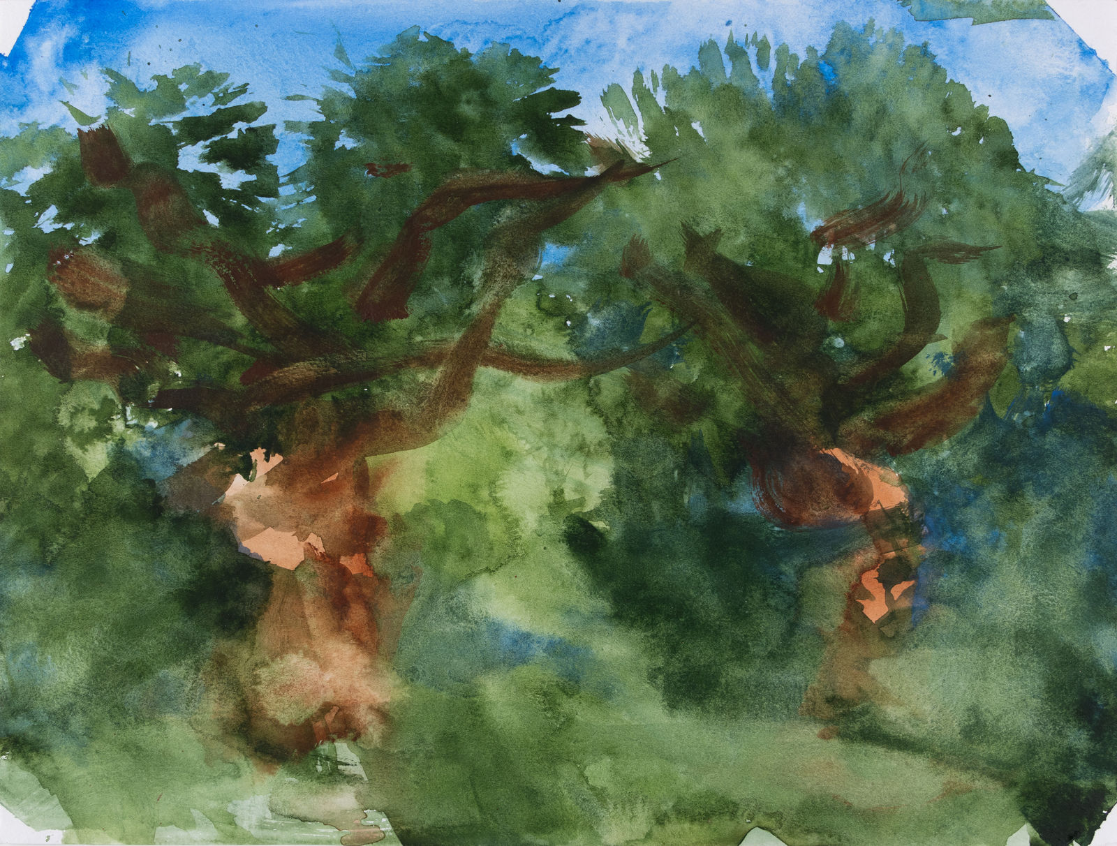 Chris Viau, Two Old Trees, 2020