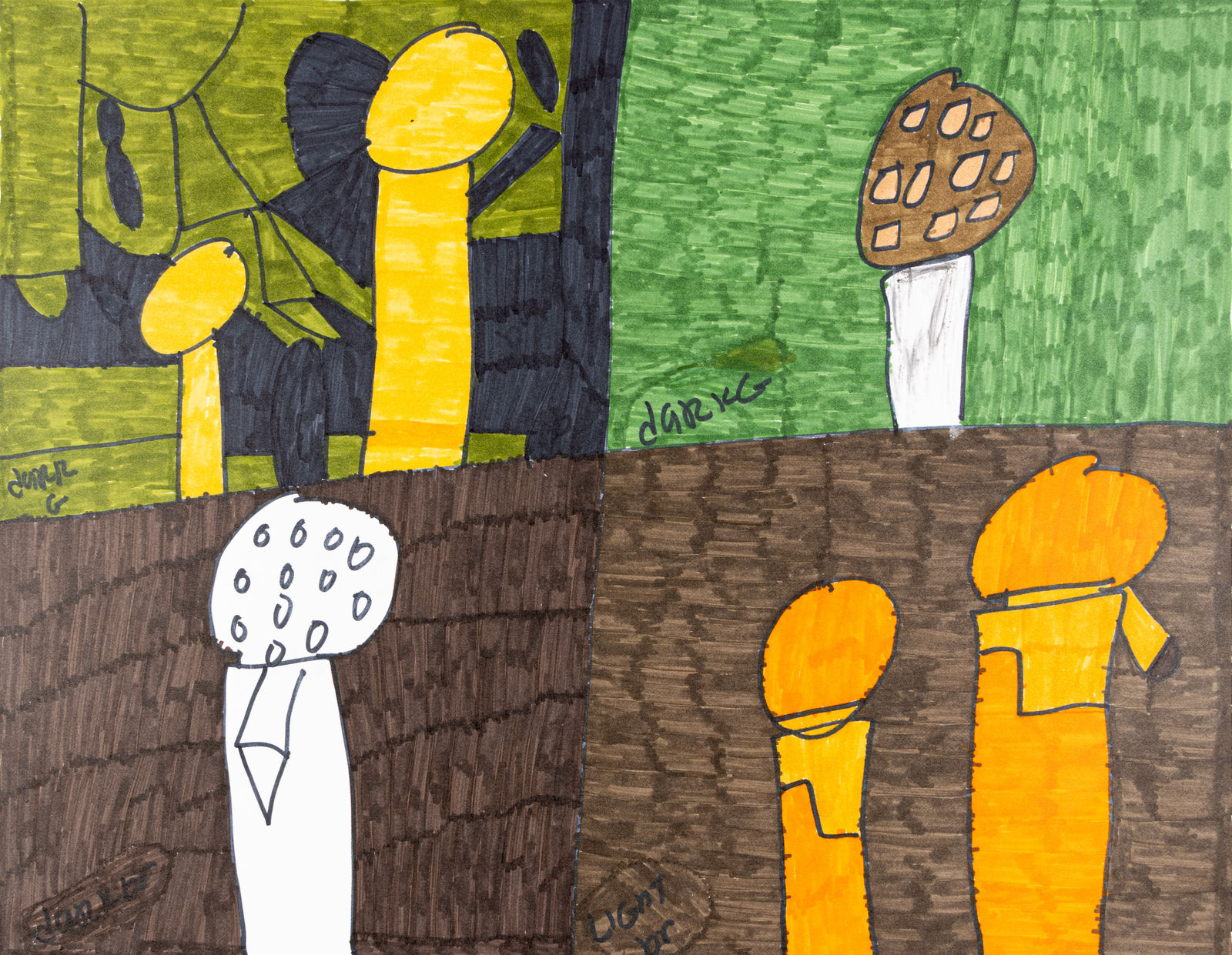 Maria Vanik, Mushrooms 138 in North America, 2024