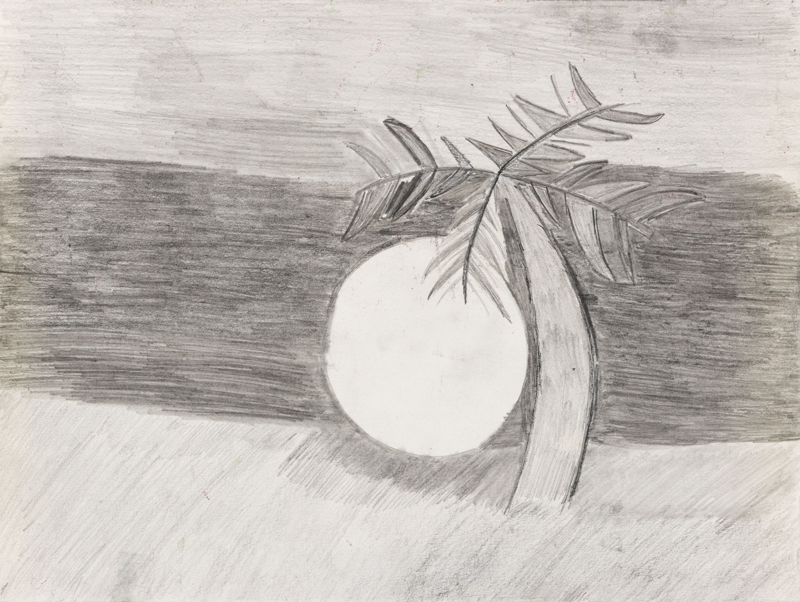 Alysha Kostelny, Cabo San Lucas , 2023