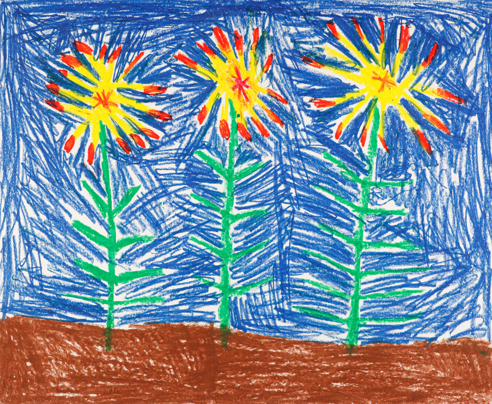 Alex Scott, Fireworks Flowers, 2019