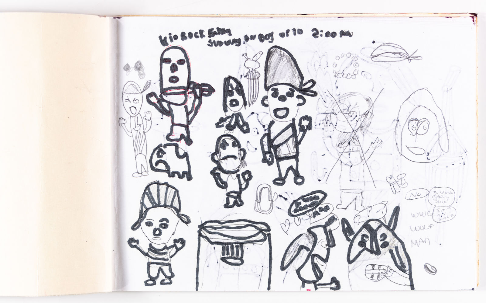 Mike Marino, Untitled (Life - Book), n.d.