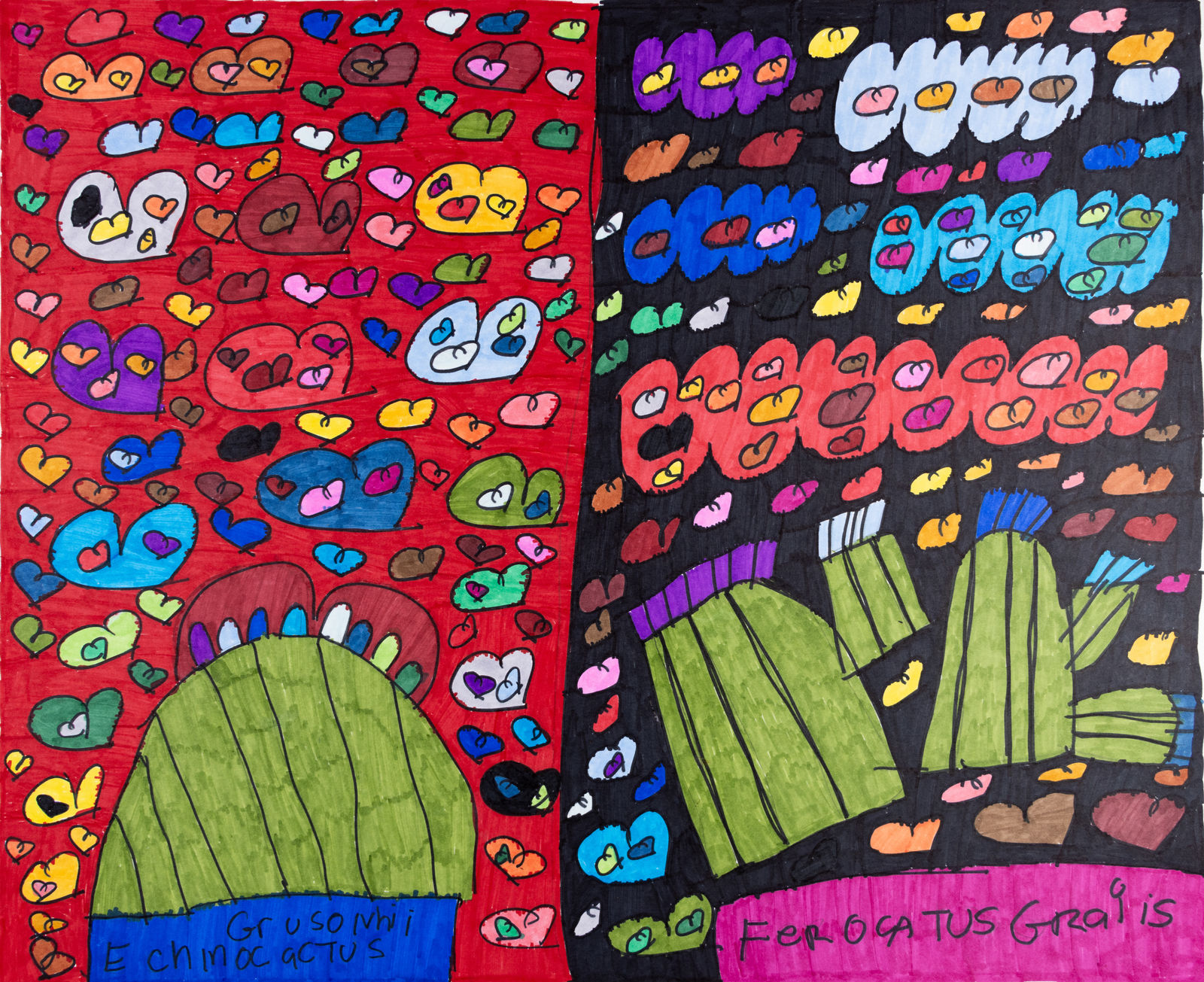 Maria Vanik, Echinocactus grusonii, Ferocactus gracilis, 2022