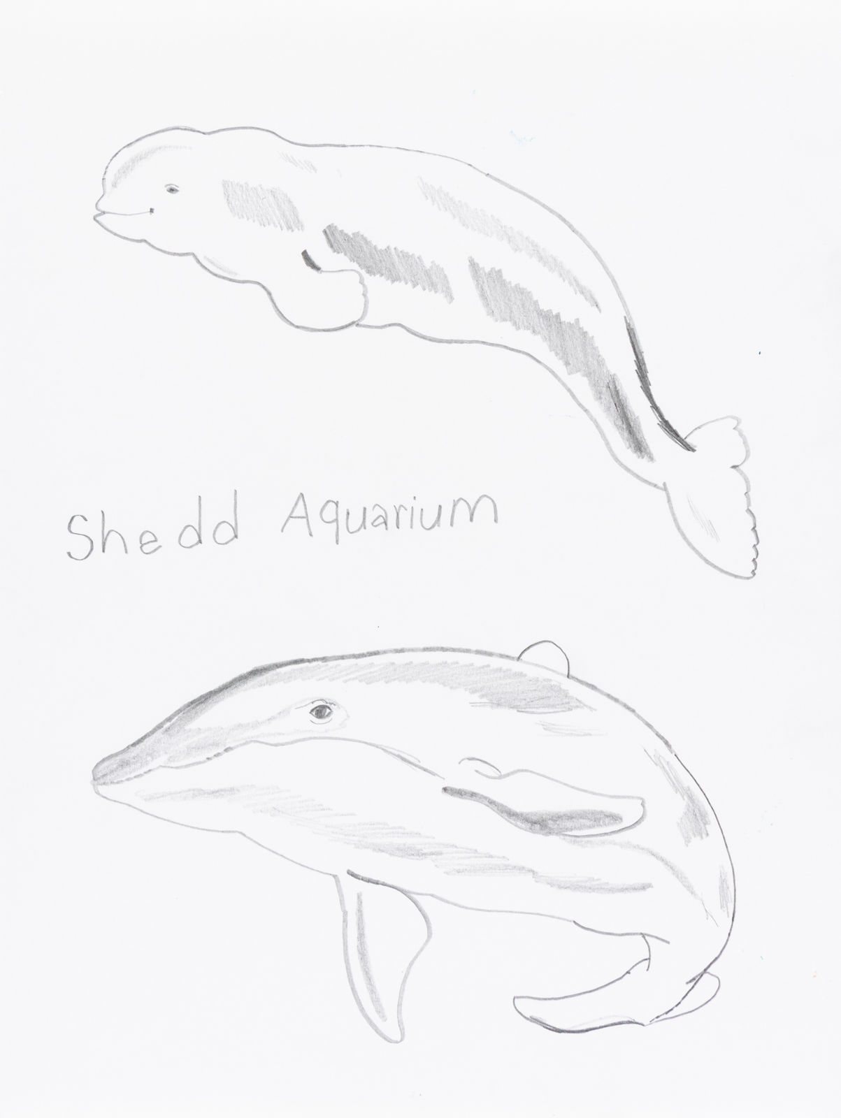 David Jarmon, Untitled, 2024