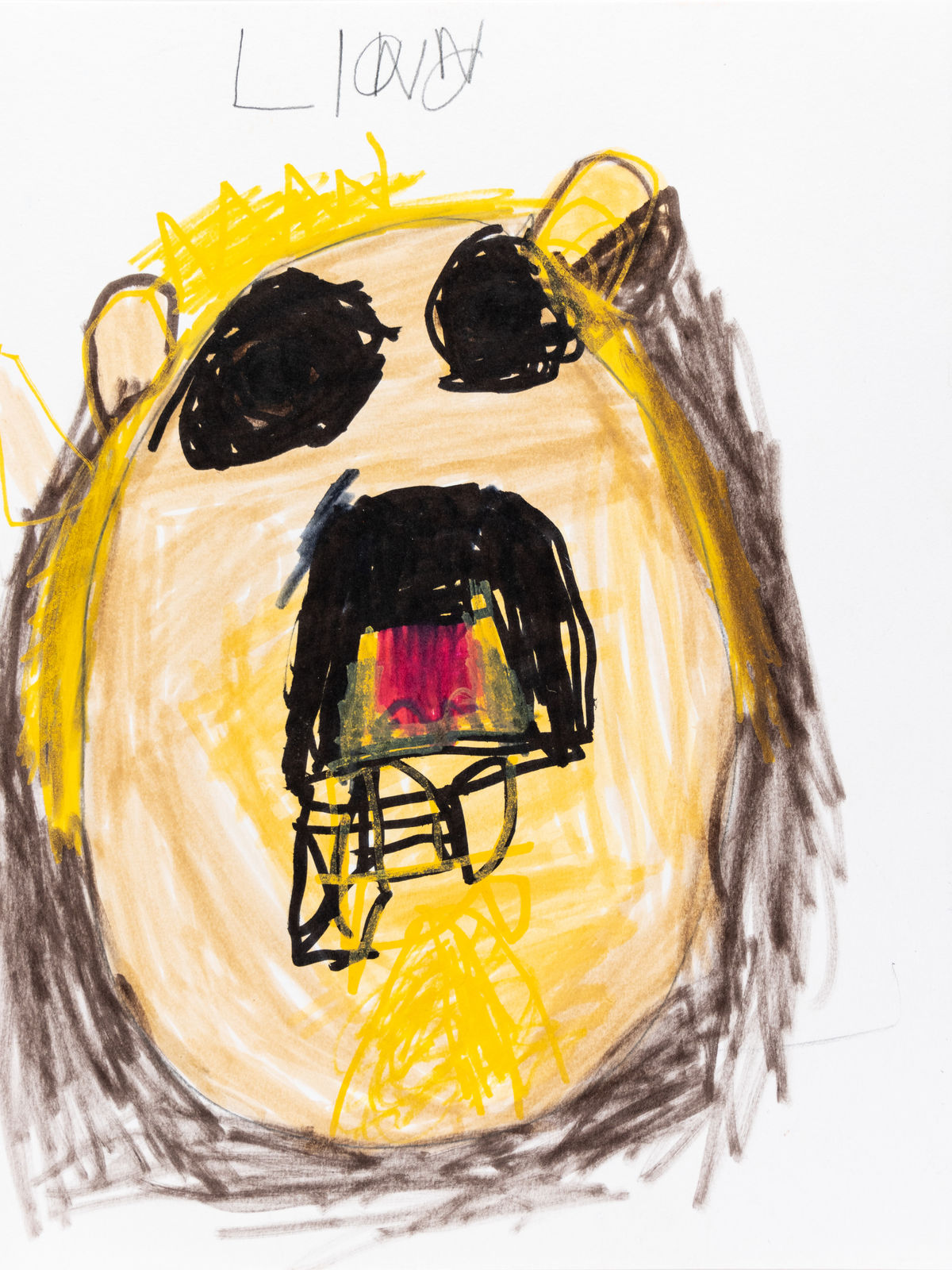 Danny Frownfelter, Lion with Harry Potter, 2024