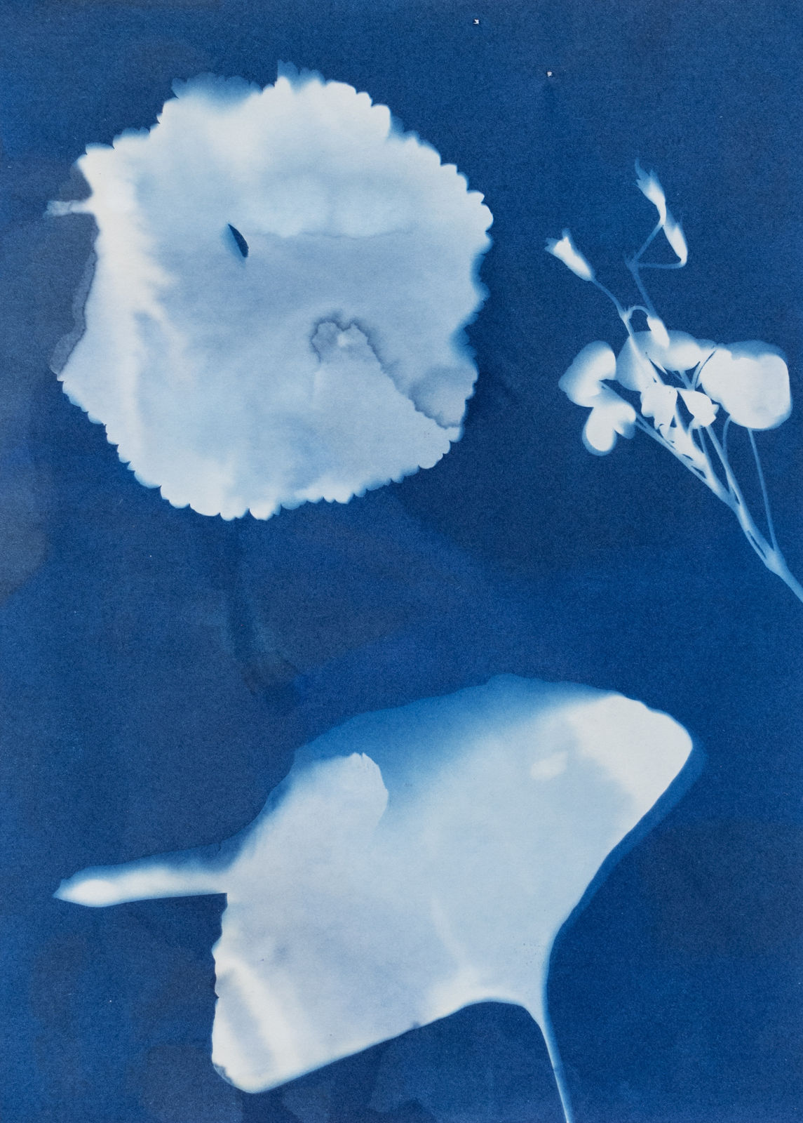 Jack O'Sullivan, Image of Blue, 2024