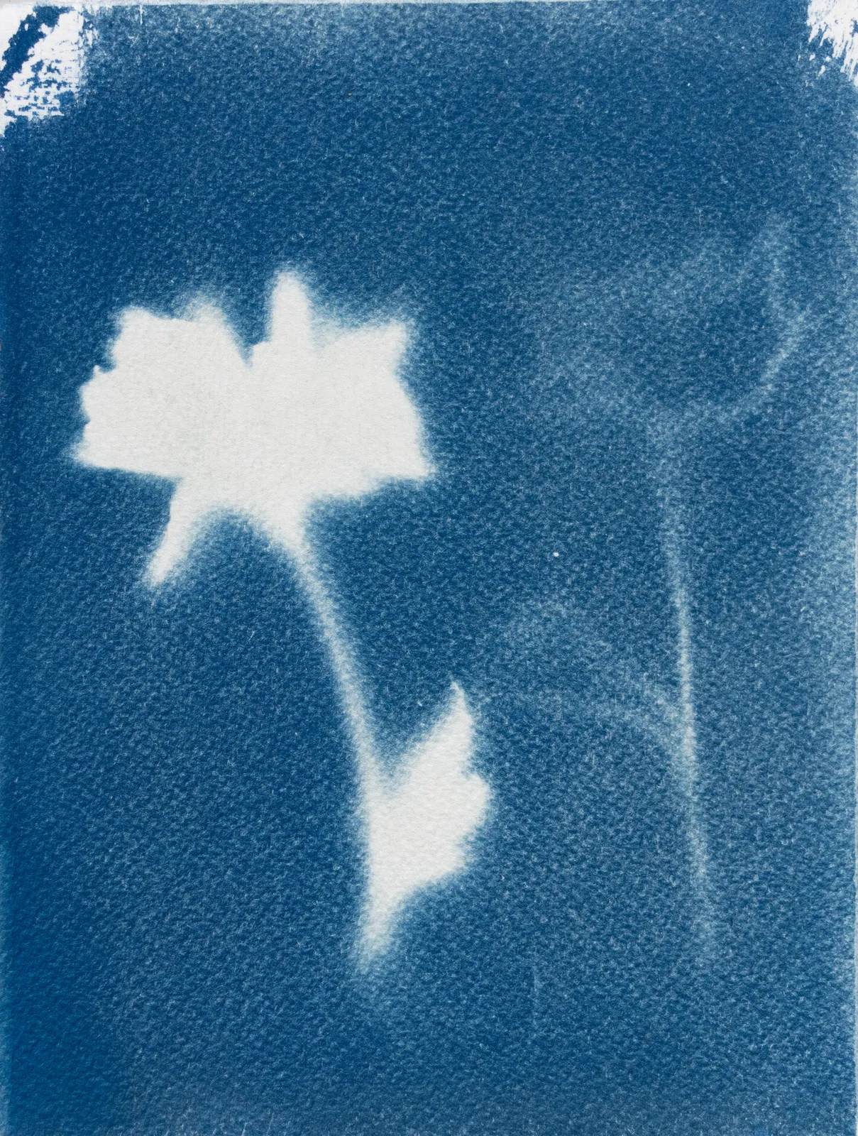 Nik Heusman, Untitled, 2023