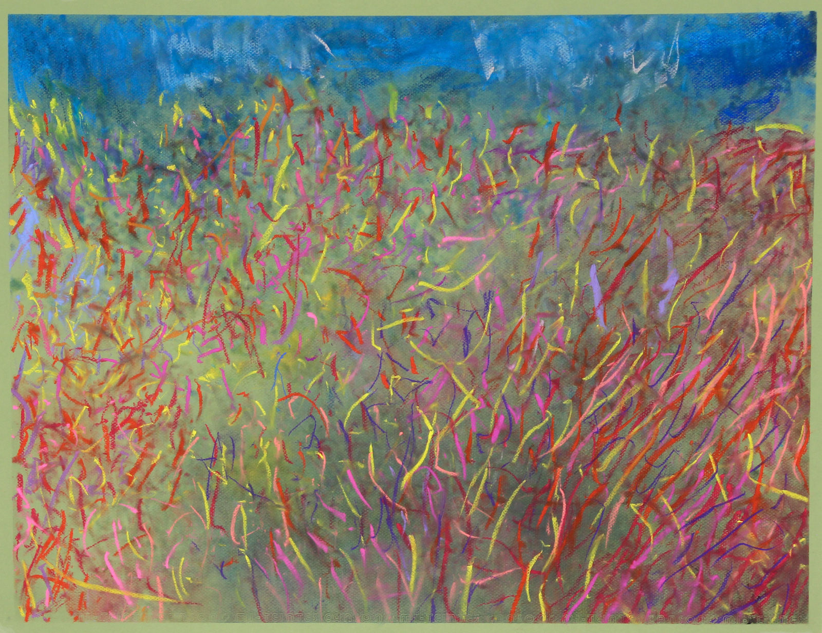 Chris Viau, Field of Wild Flowers, 2022