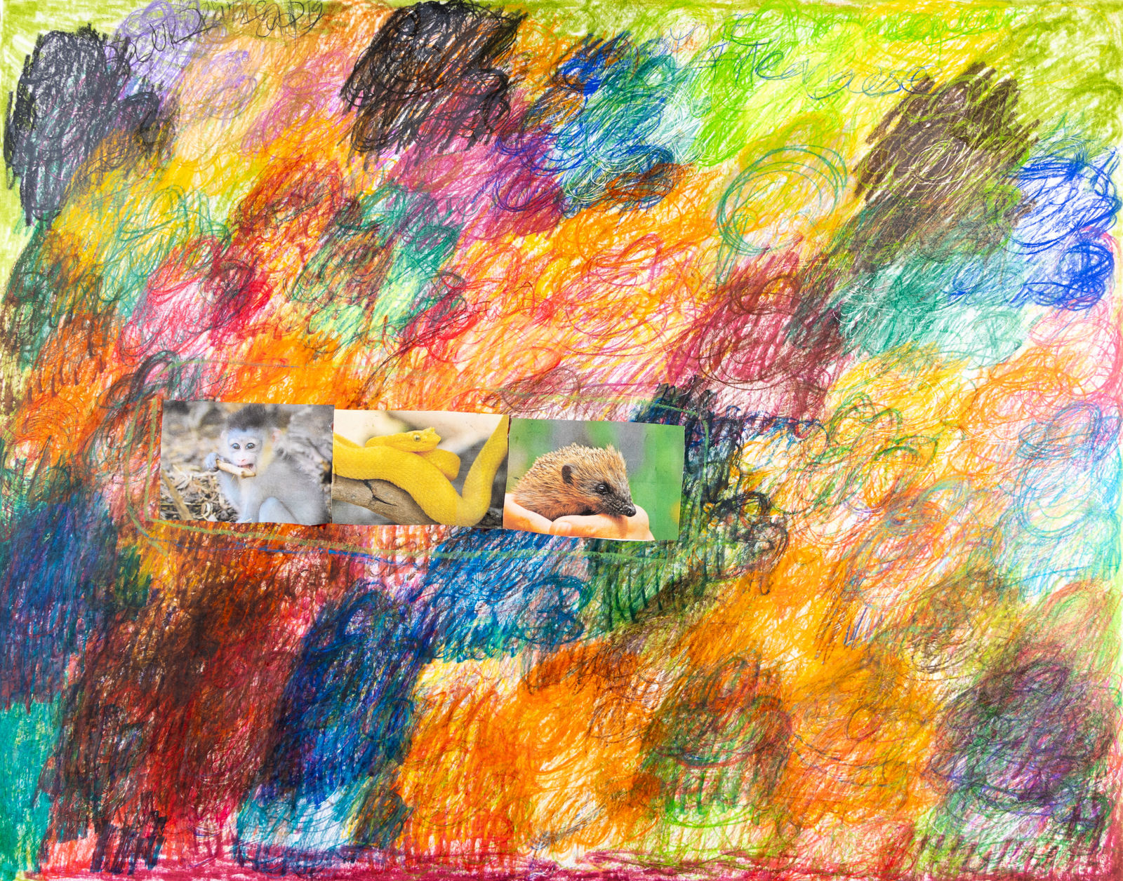 Lawrence M., Green Hippopotomus, 2024