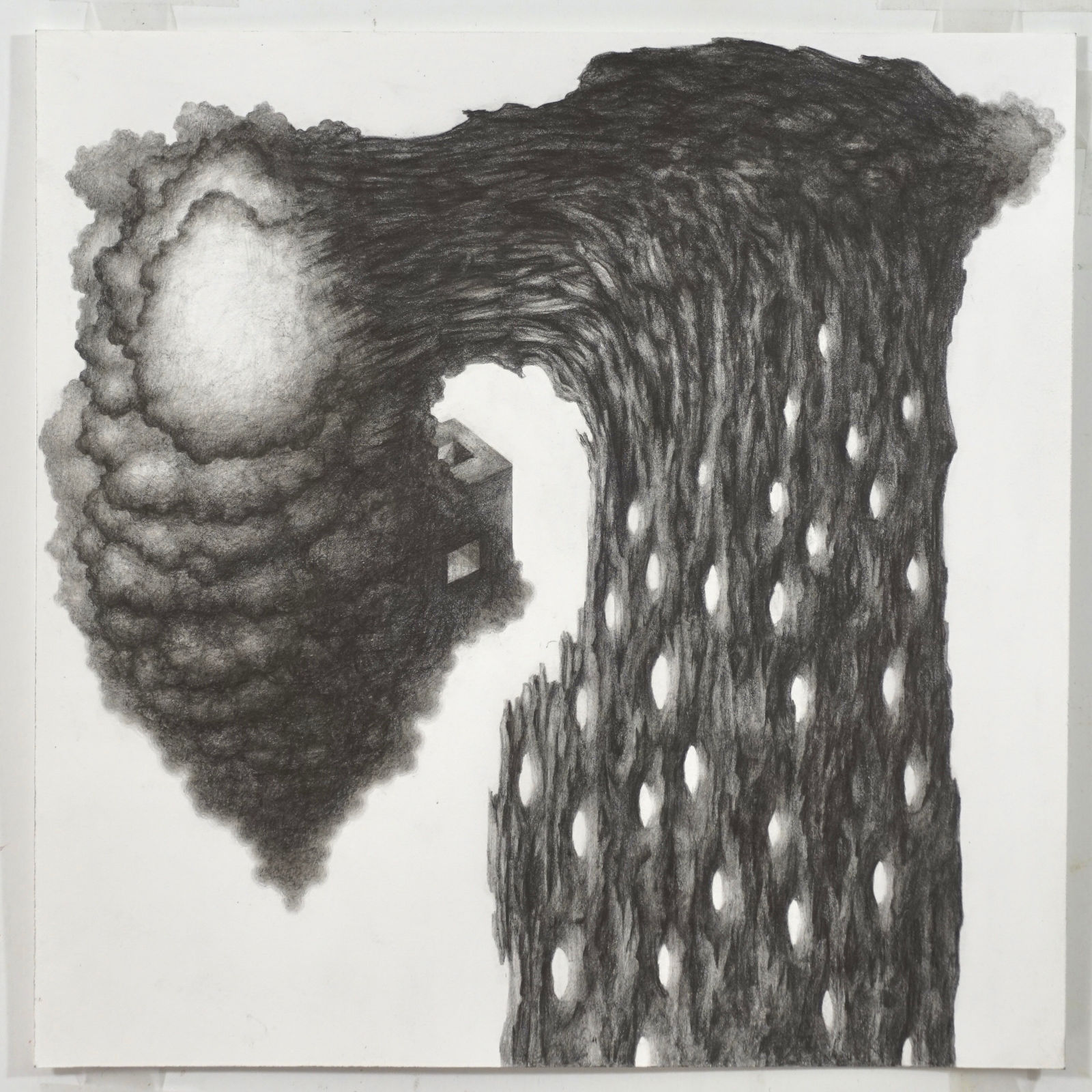 Dan Gamble, Untitled, 2024