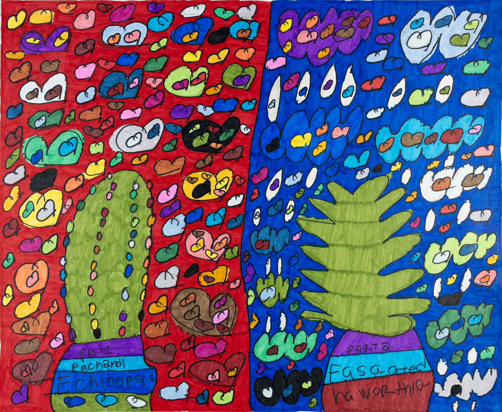 Maria Vanik, Echinopsis Pachanoi, Haworthia Fasciata, 2022