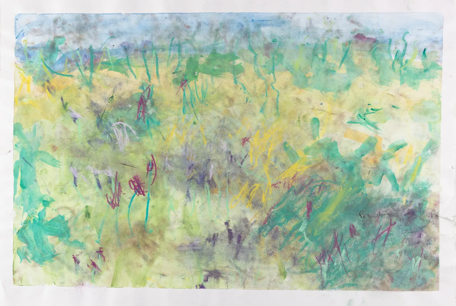 Chris Viau, Untitled (Field of Greens), n.d.