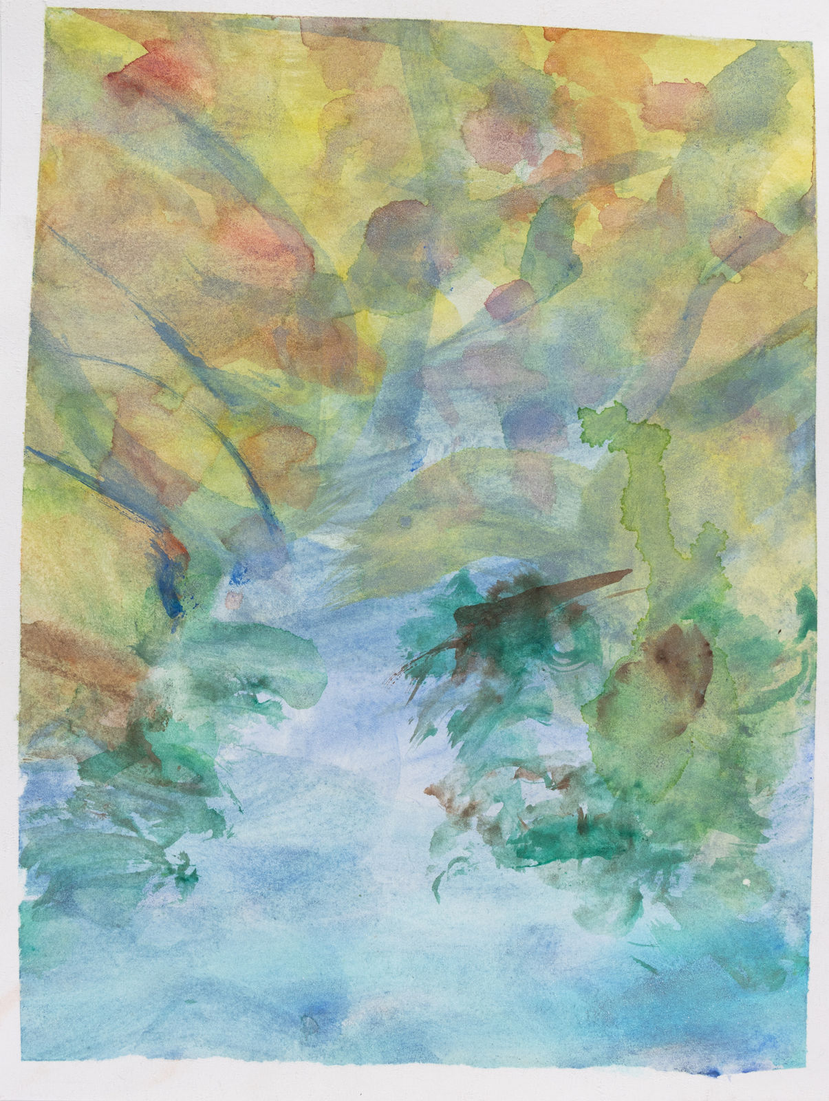 Chris Viau, A Water Garden, 2020